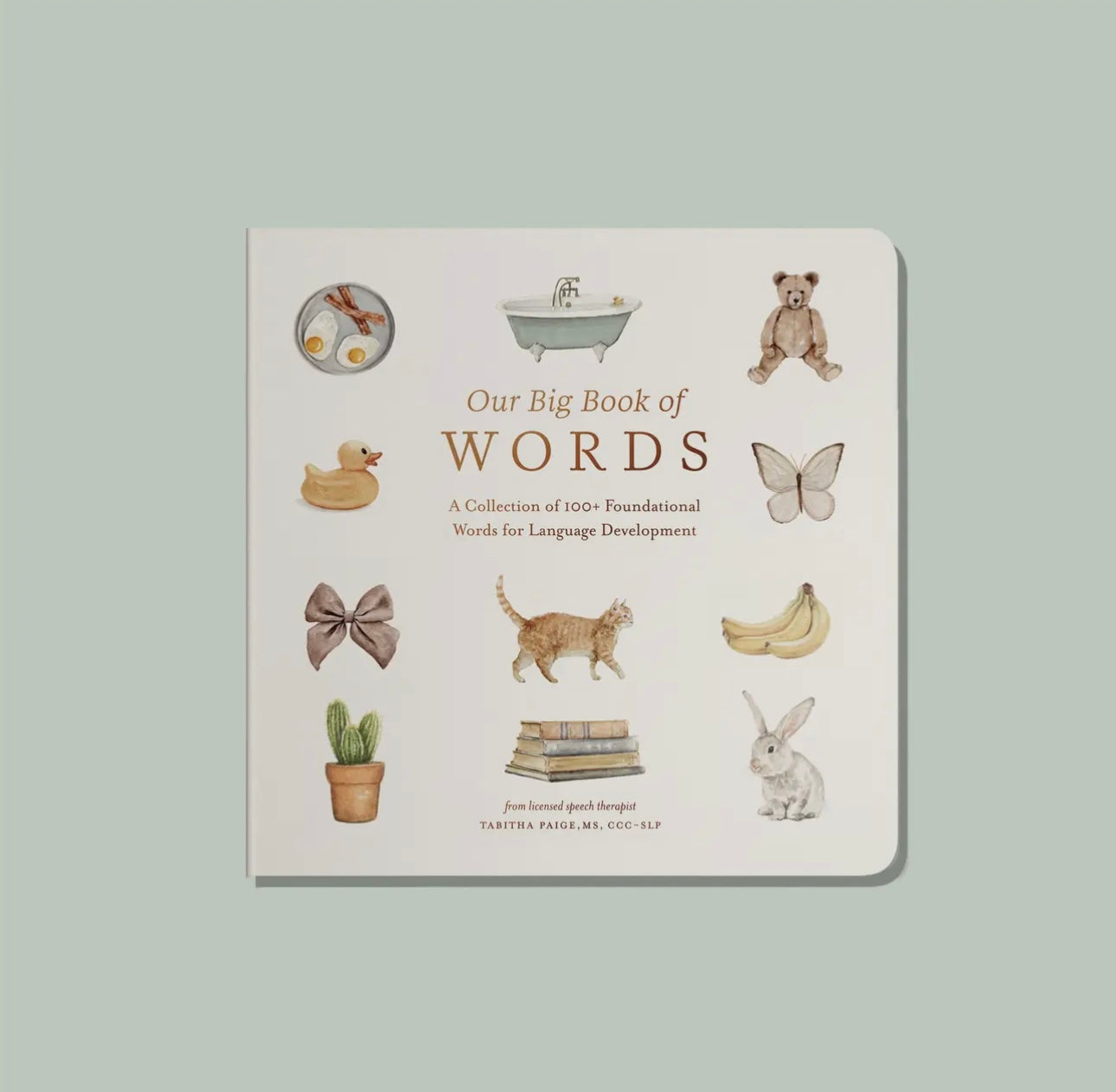 Our Big Book of First Words