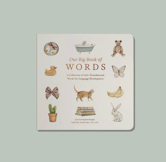 Our Big Book of First Words