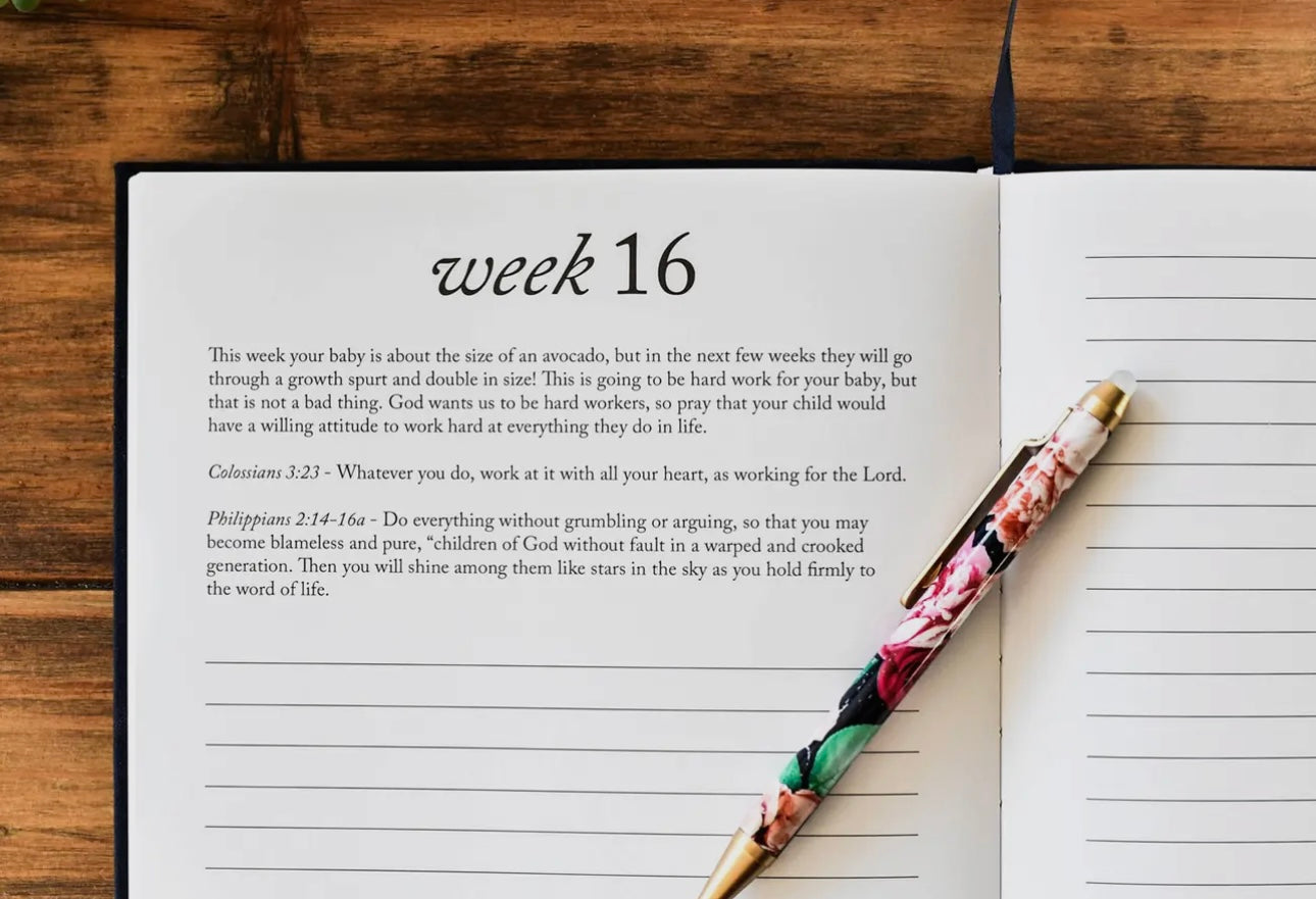Dear Baby: A Pregnancy Prayer Journal & Memory Book - Ivory